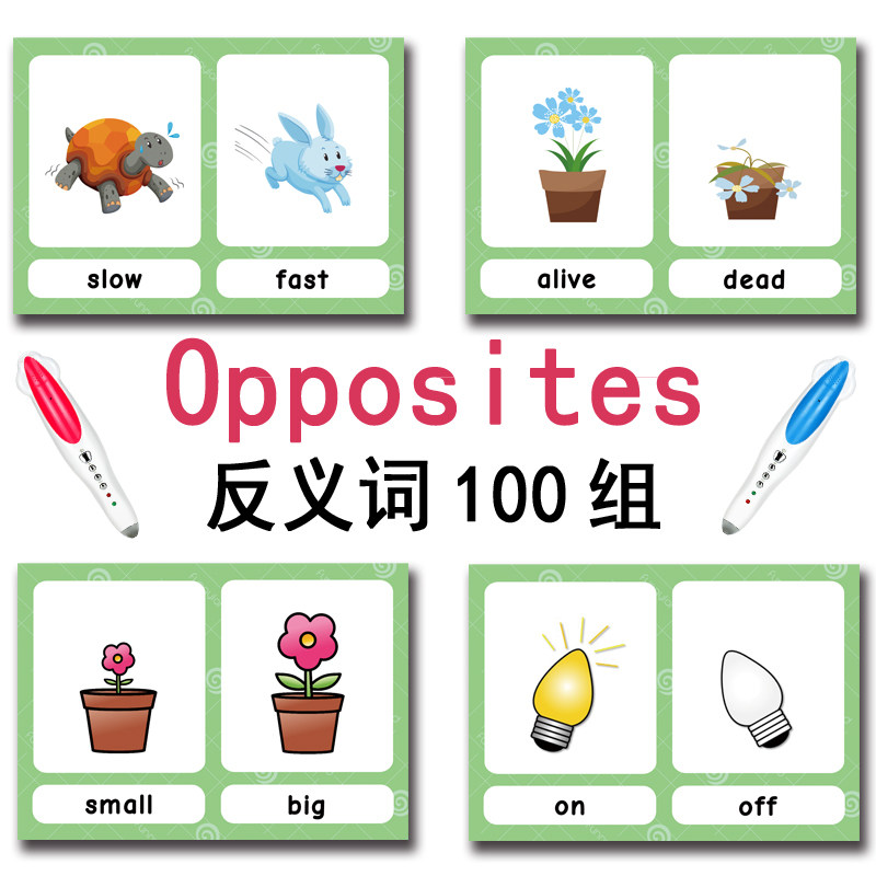 100 Kartu Flashcard Kata Bahas - Party Games New Year ulasan dan harga