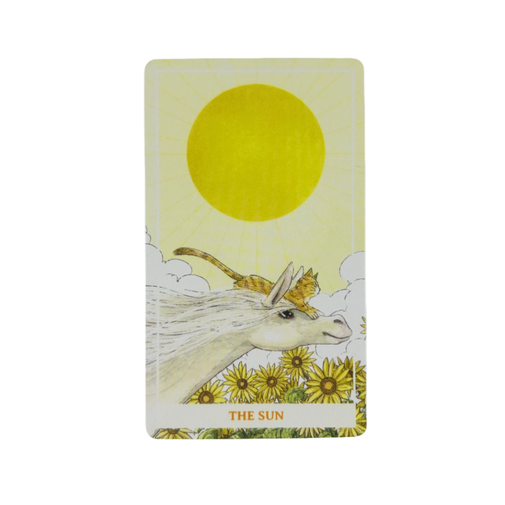 Kartu Tarot Kucing Oranye Cera - Party Games Sunny ulasan dan harga